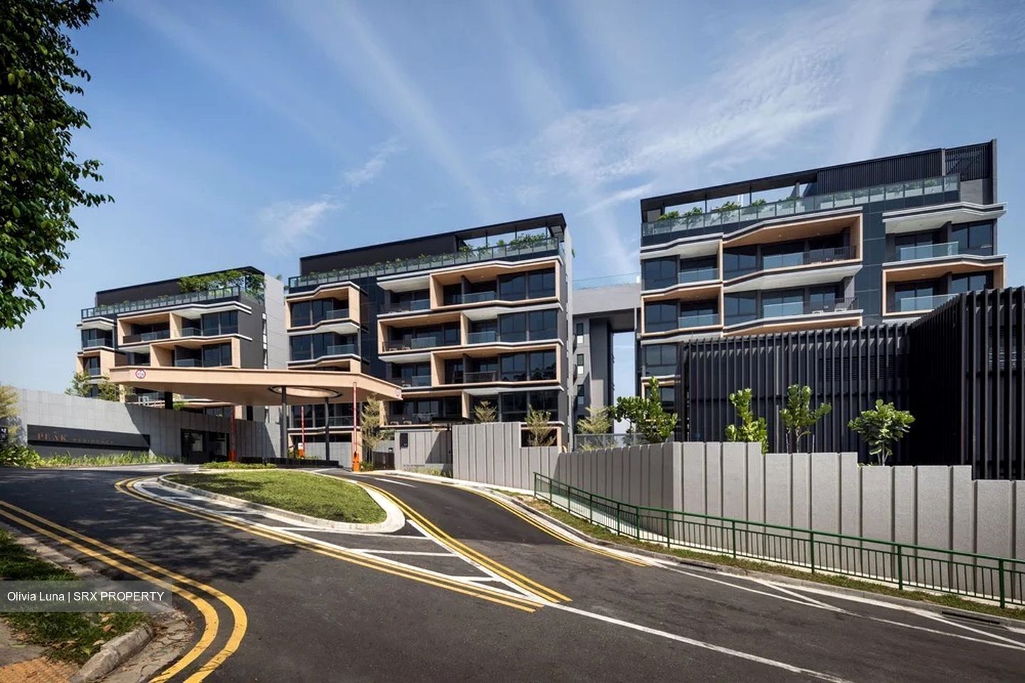 Peak Residence (D11), Condominium #529395441